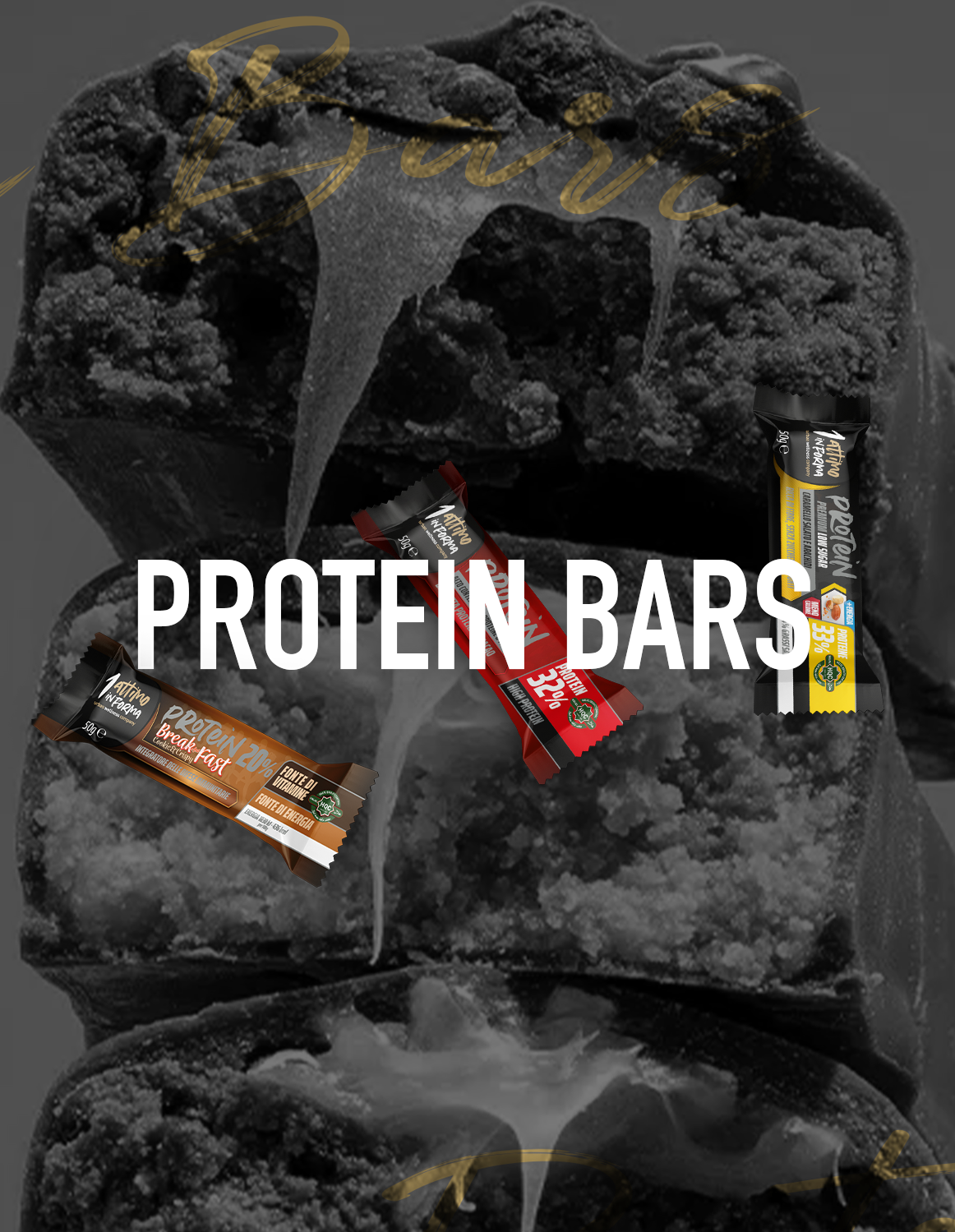 Protein Bars